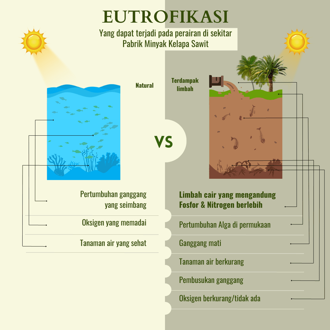 dampak eutrofikasi pabrik minyak kelapa sawit dampak eutrofikasi pabrik minyak kelapa sawit